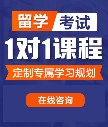 在线观看黄片艹b喷水嫩嫩的留学考试一对一精品课